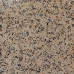 Хризантем Еллоу